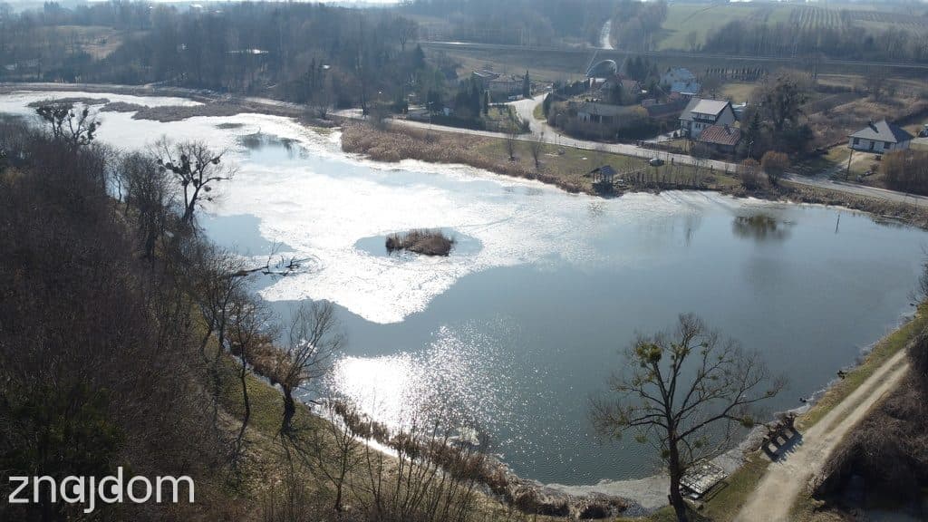 Działka o pow. 4,6 ha w Klementowicach gm. Kurów. - zdjęcie 13