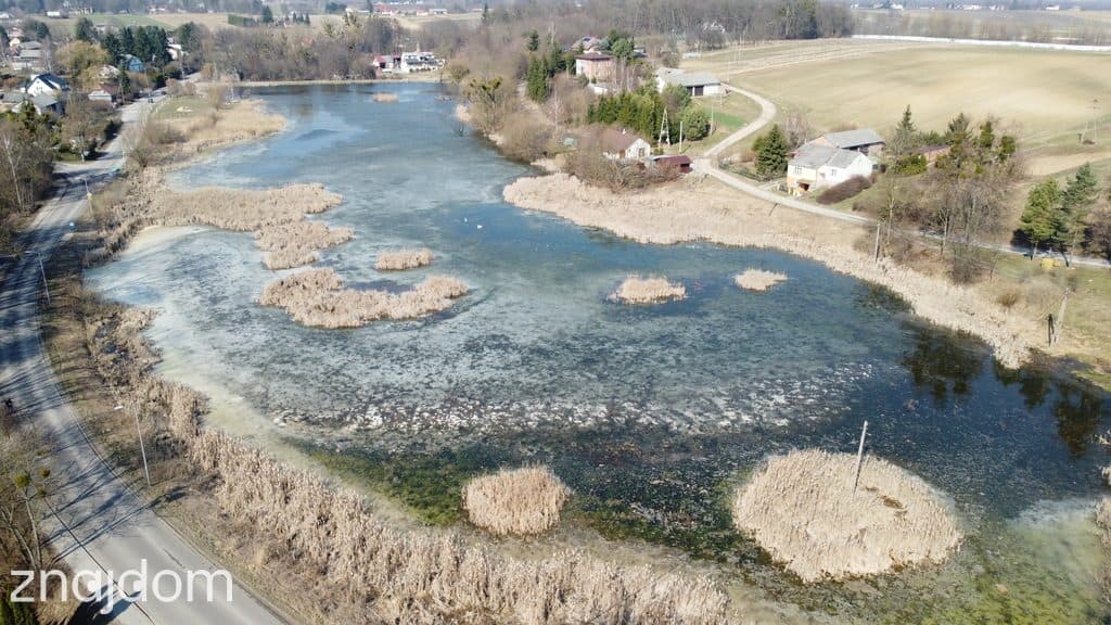 Działka o pow. 4,6 ha w Klementowicach gm. Kurów. - zdjęcie 14