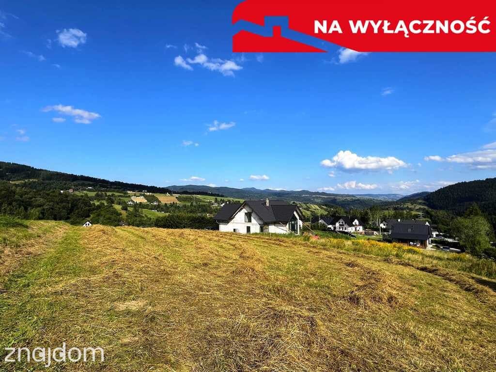 Działka z WZ | 5291 m2 | widok na Pieniny