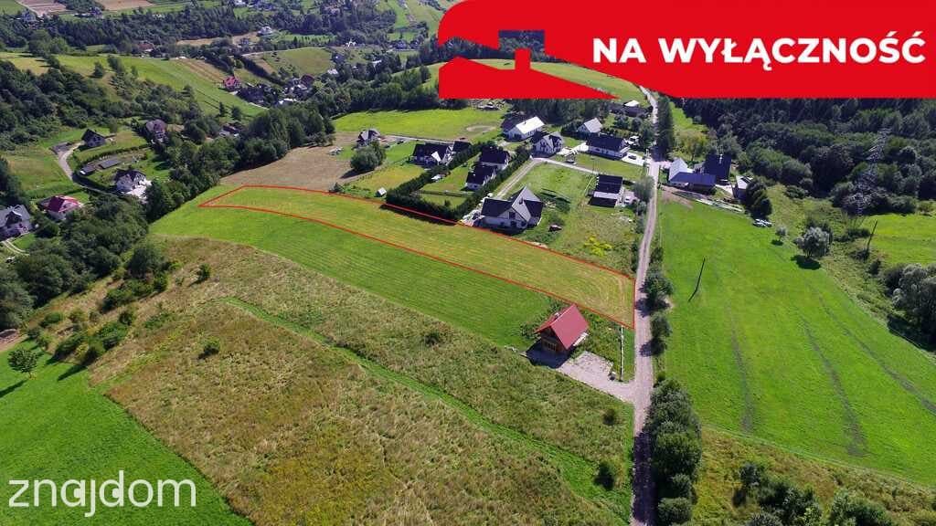 Działka z WZ | 5291 m2 | widok na Pieniny - zdjęcie 2