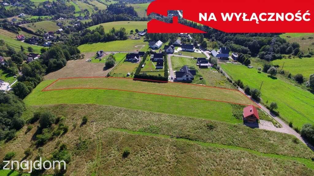 Działka z WZ | 5291 m2 | widok na Pieniny - zdjęcie 3