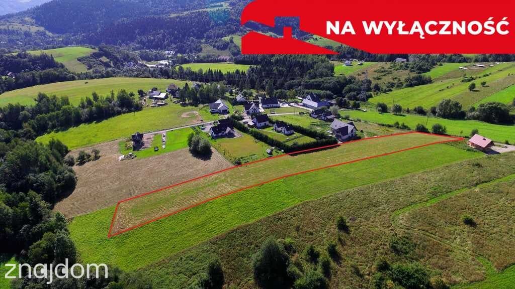 Działka z WZ | 5291 m2 | widok na Pieniny - zdjęcie 4