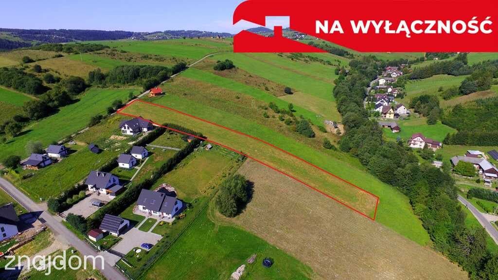 Działka z WZ | 5291 m2 | widok na Pieniny - zdjęcie 5