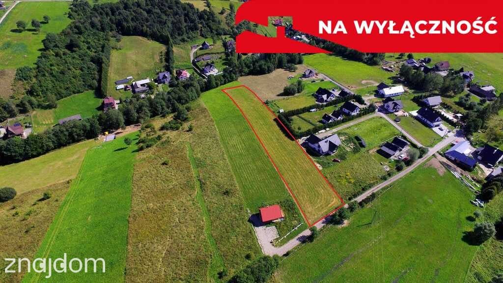 Działka z WZ | 5291 m2 | widok na Pieniny - zdjęcie 6