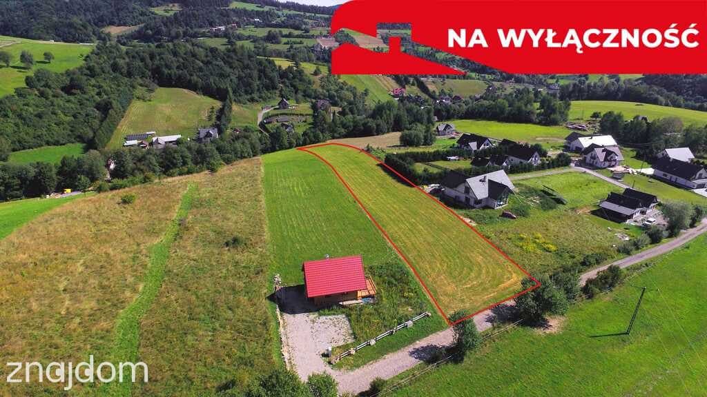 Działka z WZ | 5291 m2 | widok na Pieniny - zdjęcie 7