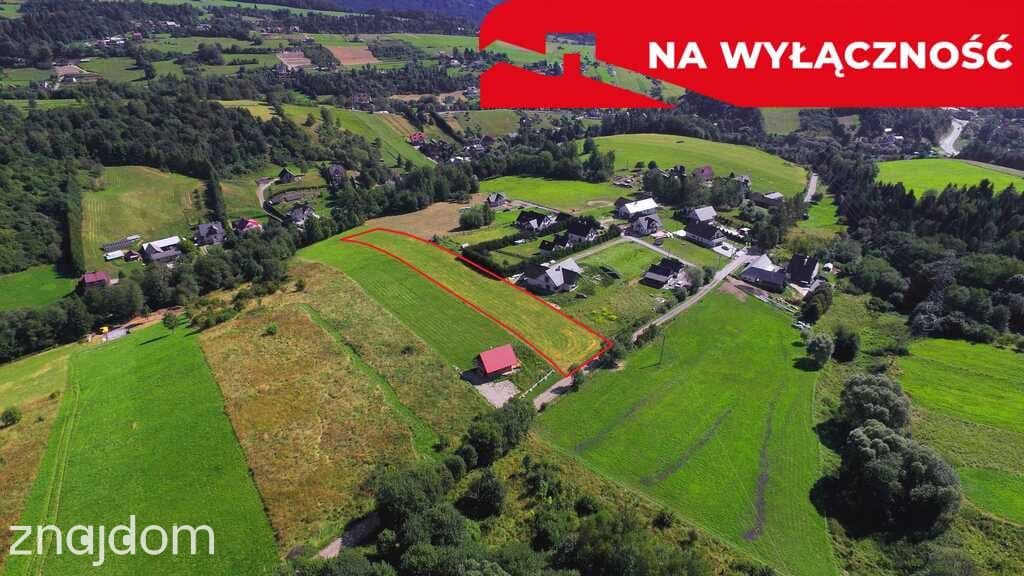 Działka z WZ | 5291 m2 | widok na Pieniny - zdjęcie 8