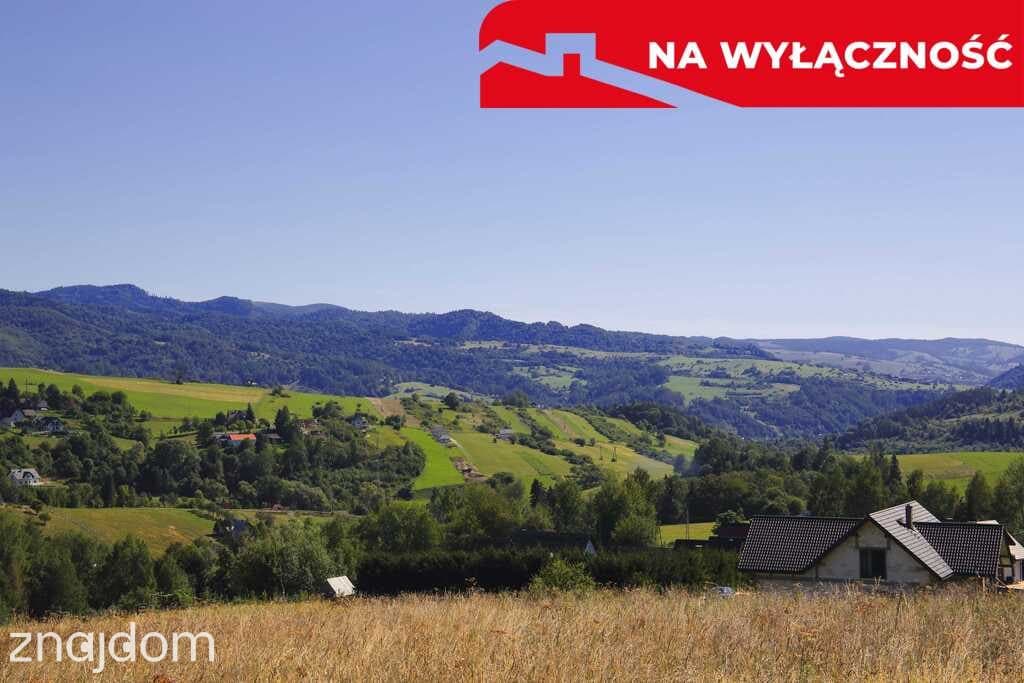 Działka z WZ | 5291 m2 | widok na Pieniny - zdjęcie 11