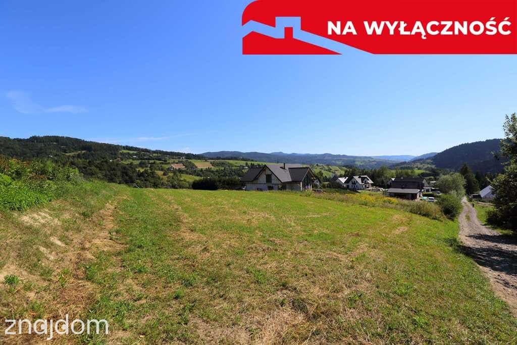 Działka z WZ | 5291 m2 | widok na Pieniny - zdjęcie 12