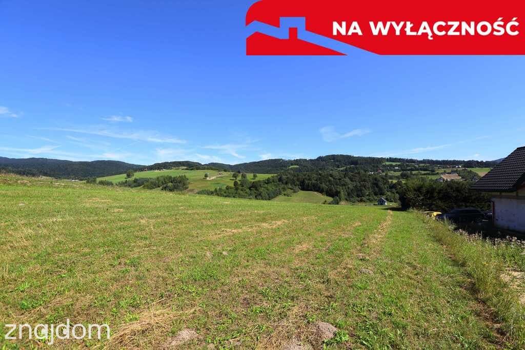 Działka z WZ | 5291 m2 | widok na Pieniny - zdjęcie 13