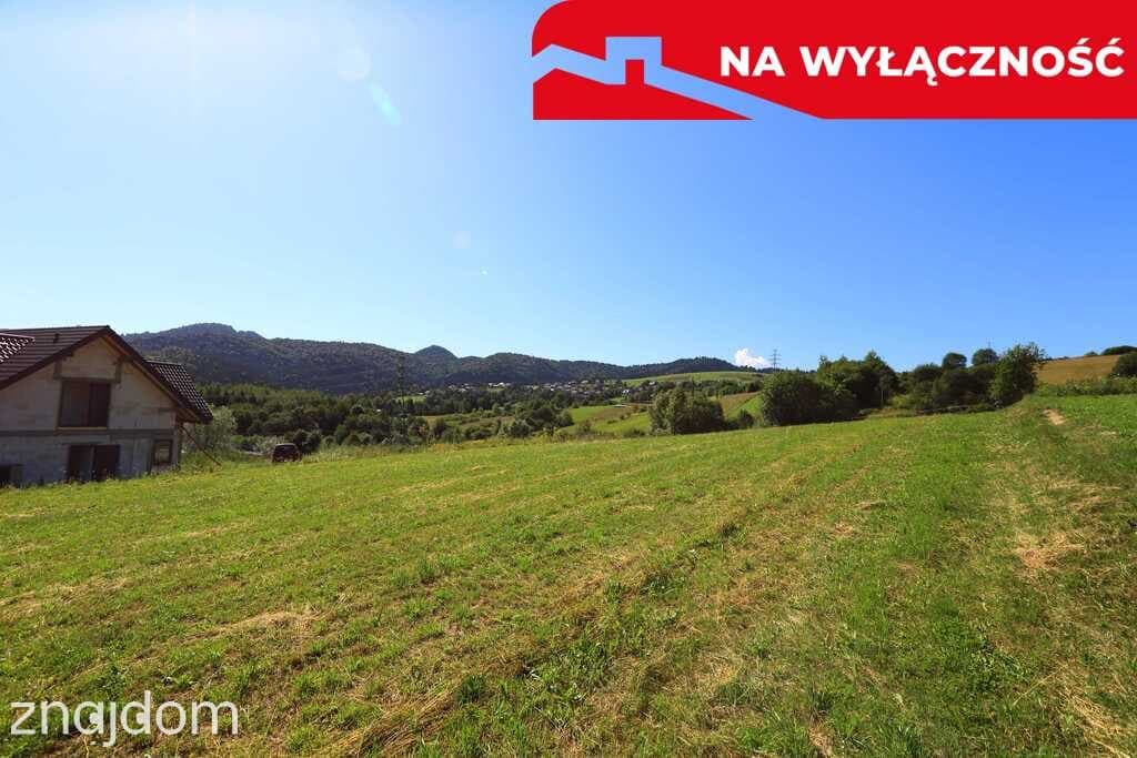 Działka z WZ | 5291 m2 | widok na Pieniny - zdjęcie 14