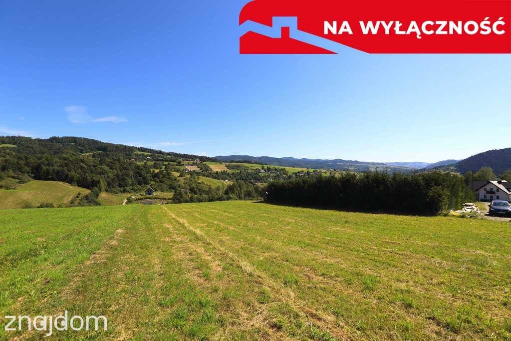 Działka z WZ | 5291 m2 | widok na Pieniny - zdjęcie 15