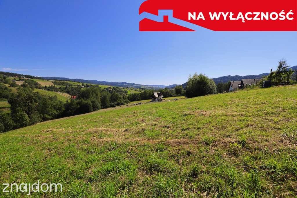 Działka z WZ | 5291 m2 | widok na Pieniny - zdjęcie 16