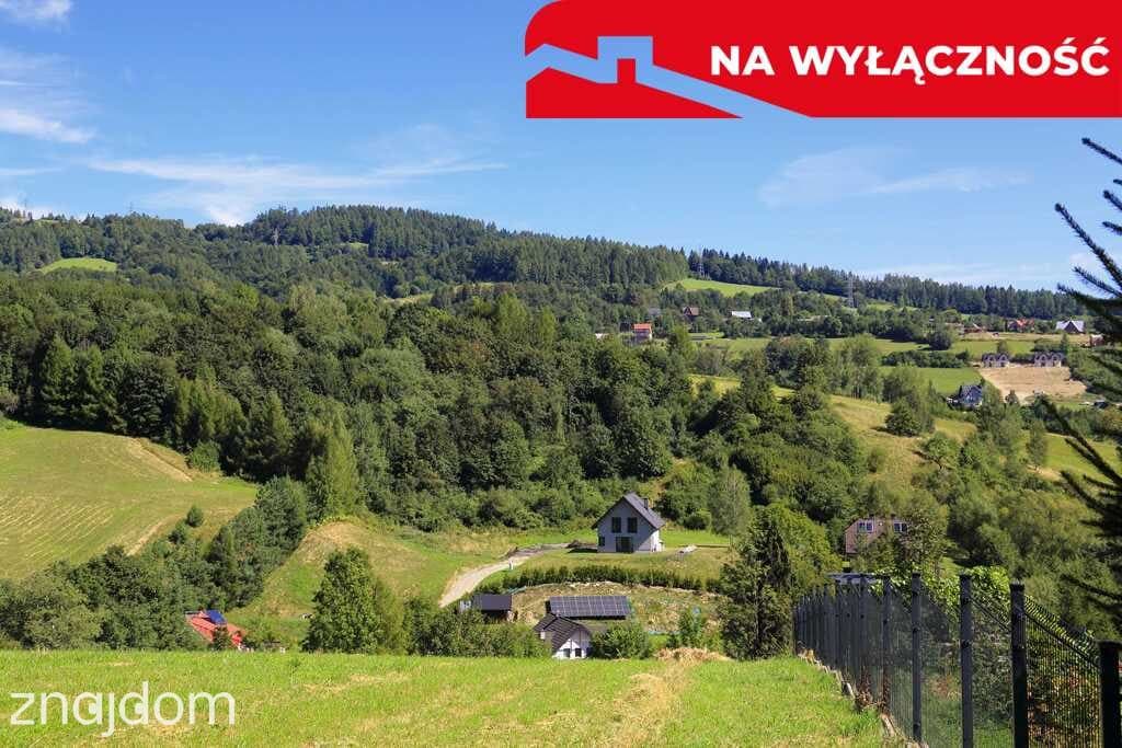 Działka z WZ | 5291 m2 | widok na Pieniny - zdjęcie 17
