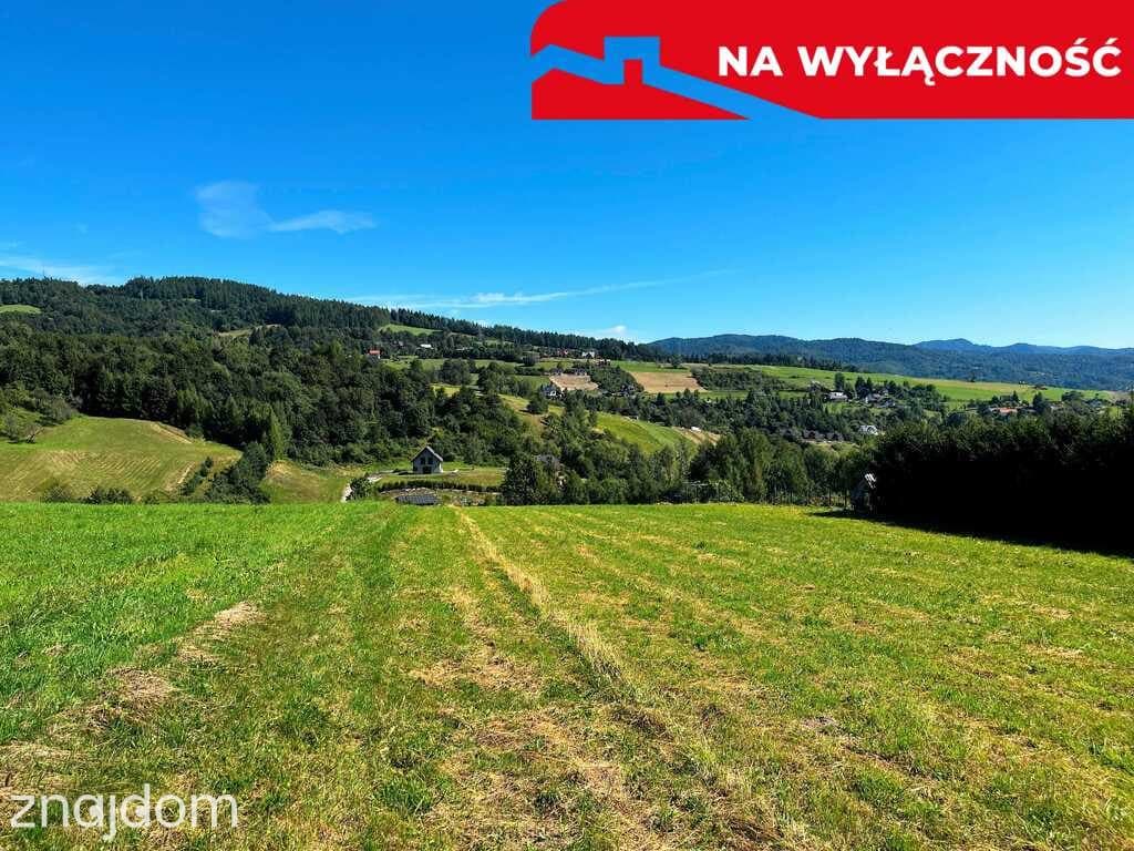 Działka z WZ | 5291 m2 | widok na Pieniny - zdjęcie 18
