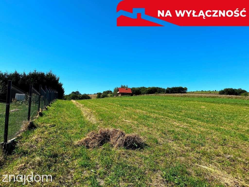 Działka z WZ | 5291 m2 | widok na Pieniny - zdjęcie 19