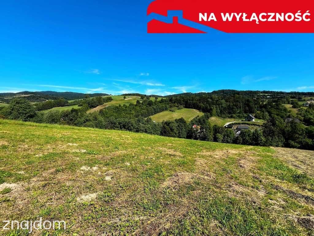Działka z WZ | 5291 m2 | widok na Pieniny - zdjęcie 20