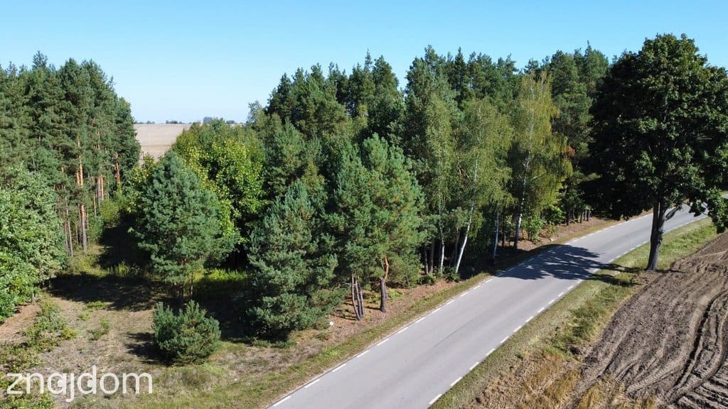 Działka z WZ 2100 m2 Szlachecki Las gm. Przyłęk... - zdjęcie 3