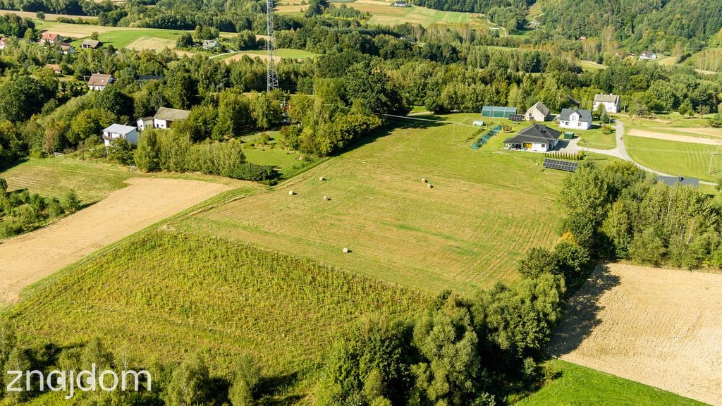 Działka zagrodowa Siedliska gm. Tuchów! - zdjęcie 7