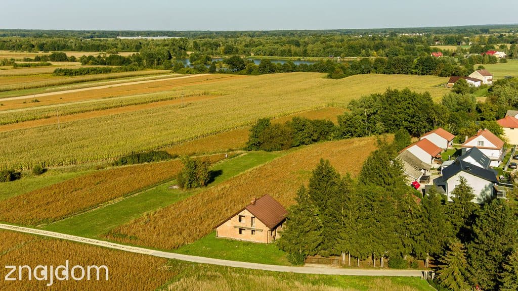 DZIAŁKA BUDOWLANA 11,5 ARA W RYLOWEJ - zdjęcie 3
