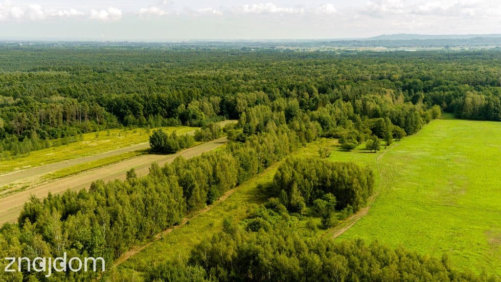 Działka rolna 71 arów Bidoliny Radłowskie - zdjęcie 7