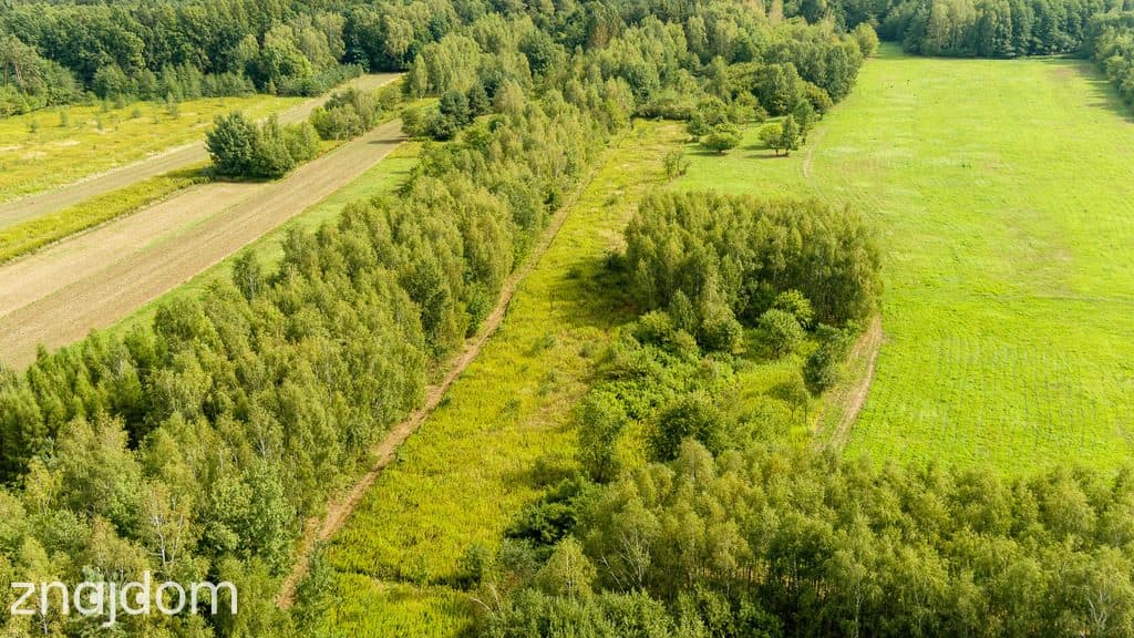 Działka rolna 71 arów Bidoliny Radłowskie - zdjęcie 2