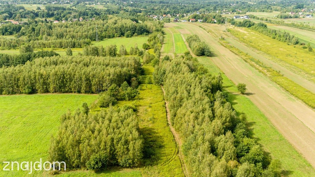 Działka rolna 71 arów Bidoliny Radłowskie - zdjęcie 3