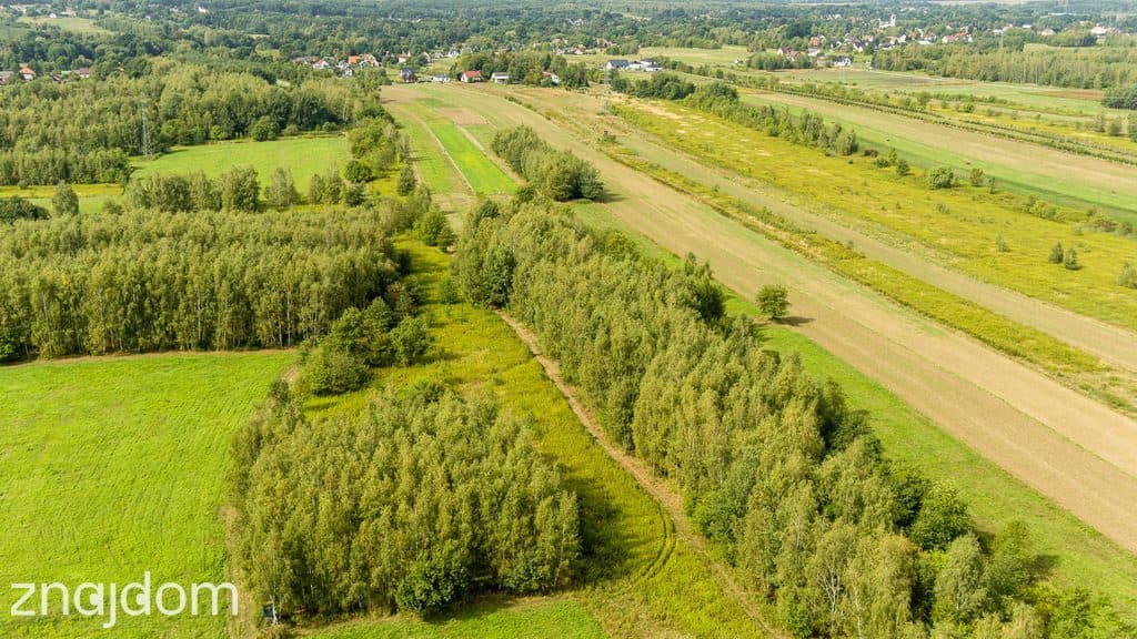 Działka rolna 71 arów Bidoliny Radłowskie - zdjęcie 4