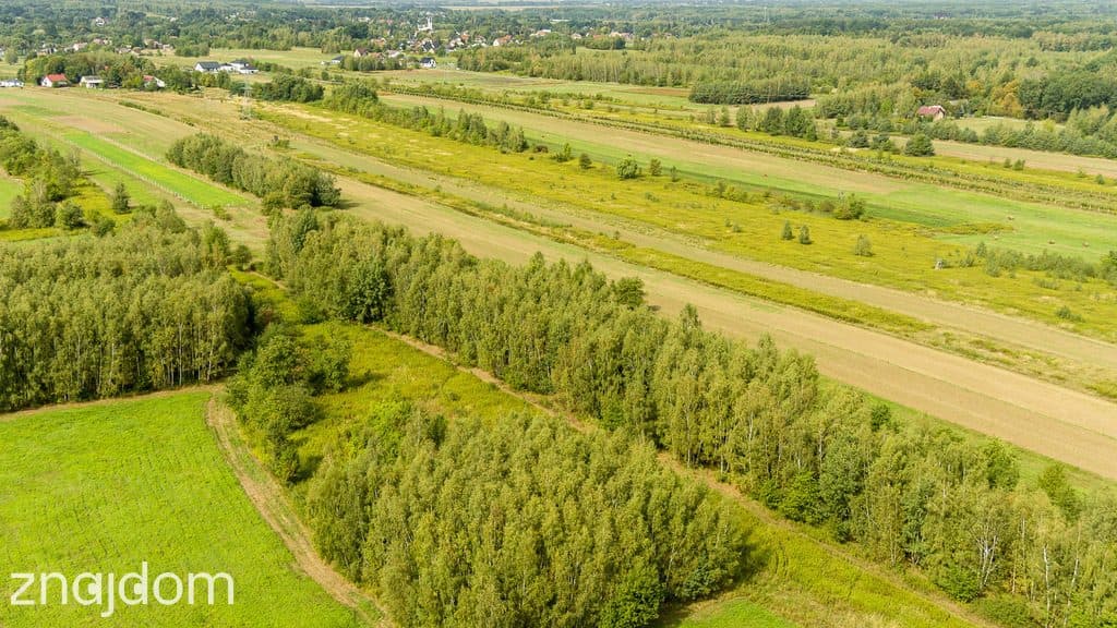 Działka rolna 71 arów Bidoliny Radłowskie - zdjęcie 5