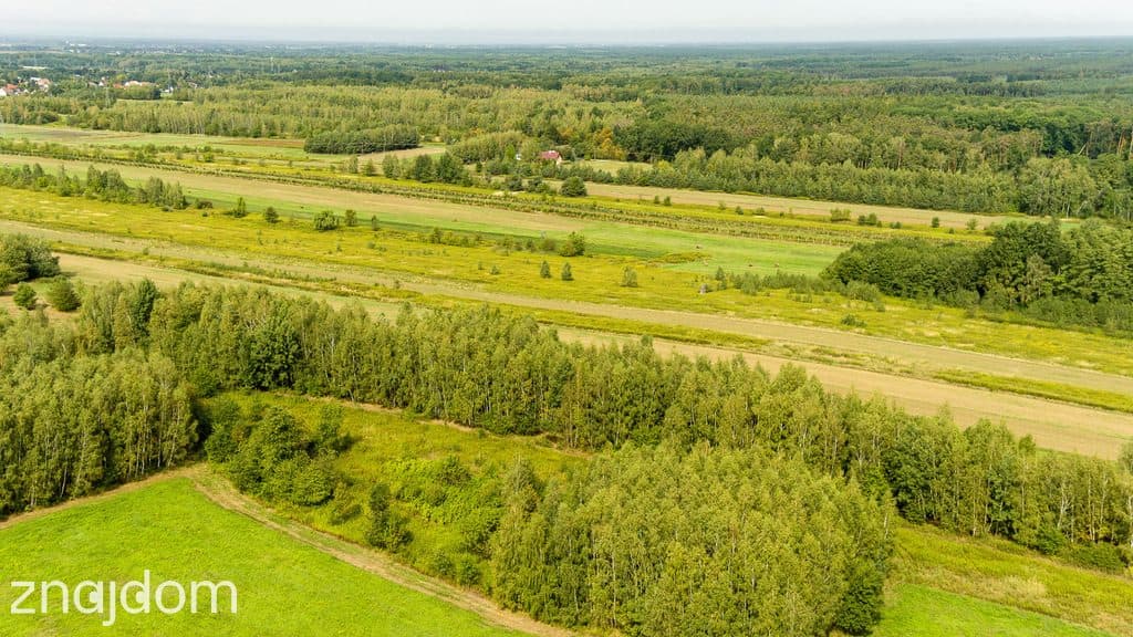 Działka rolna 71 arów Bidoliny Radłowskie - zdjęcie 6