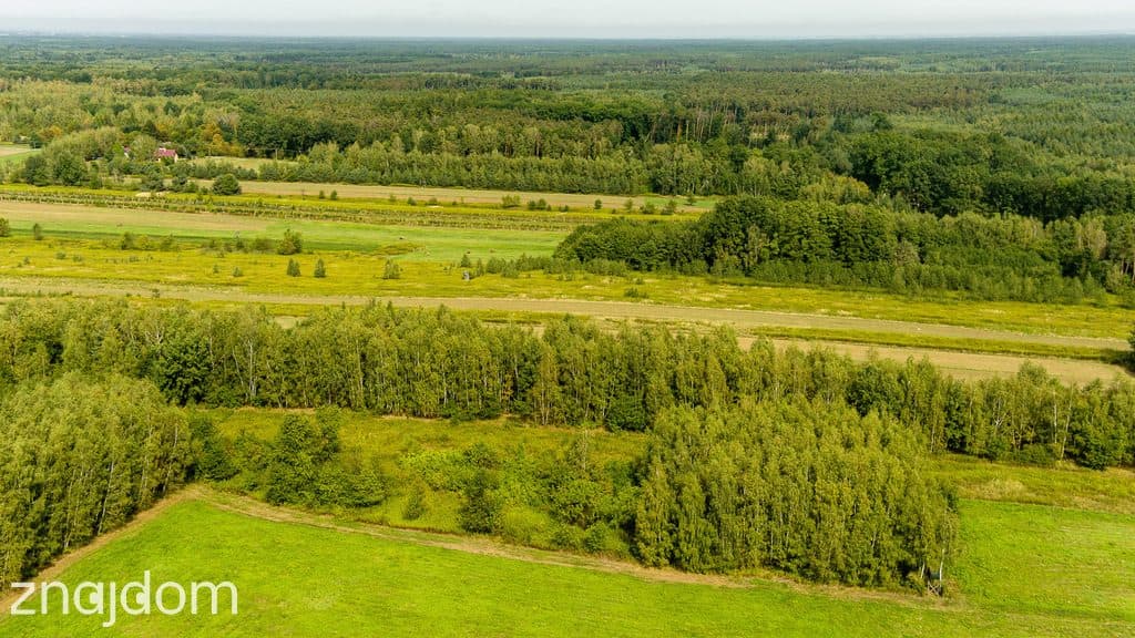 Działka rolna 71 arów Bidoliny Radłowskie - zdjęcie 8
