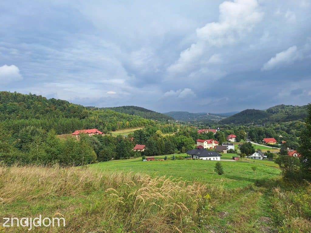 Działka budowlana 2100 m² z potencjałem – Jaszczurowa, gm. Mucharz - zdjęcie 2