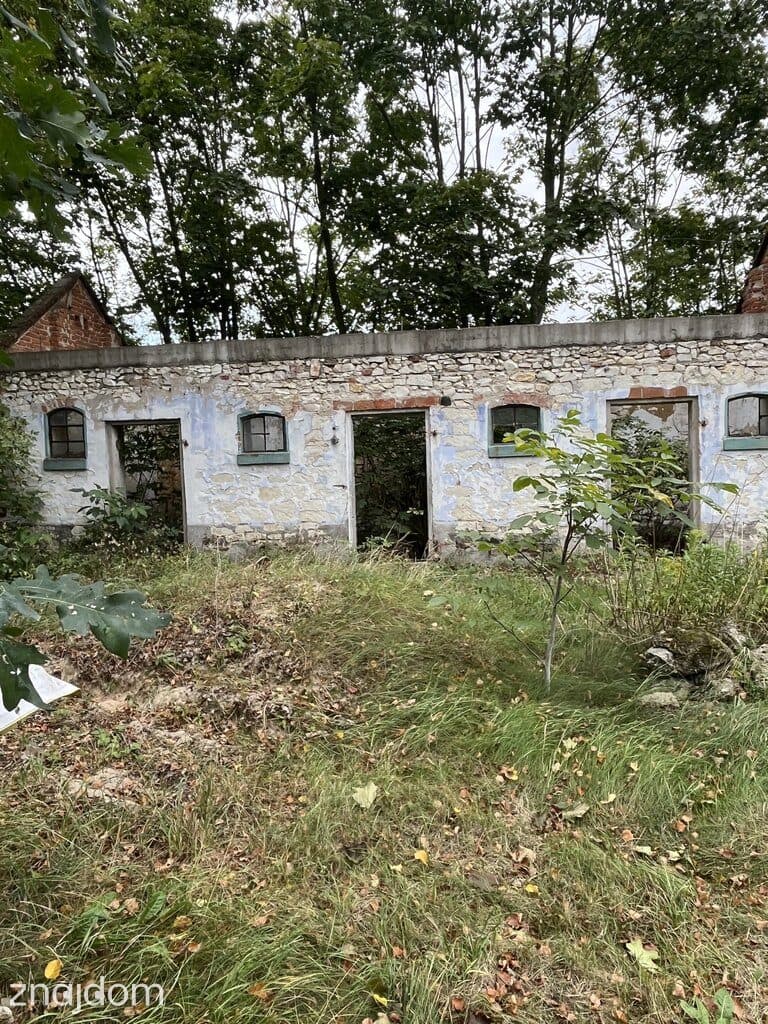 Siedlisko 2,5 ha Andrzejów gm. Przyłęk mazowieckie - zdjęcie 7