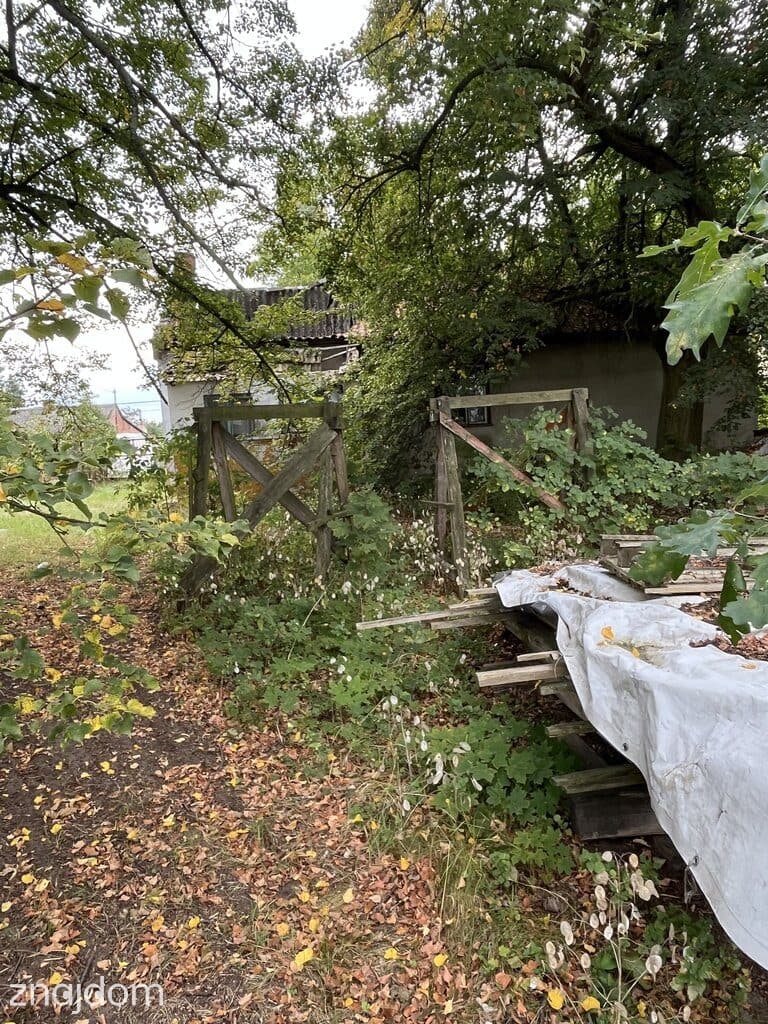 Siedlisko 2,5 ha Andrzejów gm. Przyłęk mazowieckie - zdjęcie 8