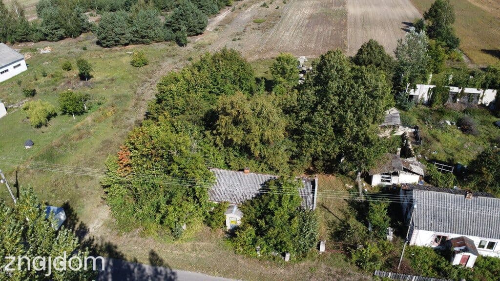 Siedlisko 2,5 ha Andrzejów gm. Przyłęk mazowieckie - zdjęcie 3