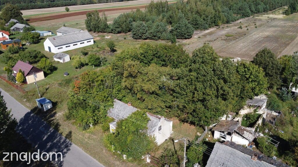 Siedlisko 2,5 ha Andrzejów gm. Przyłęk mazowieckie - zdjęcie 4