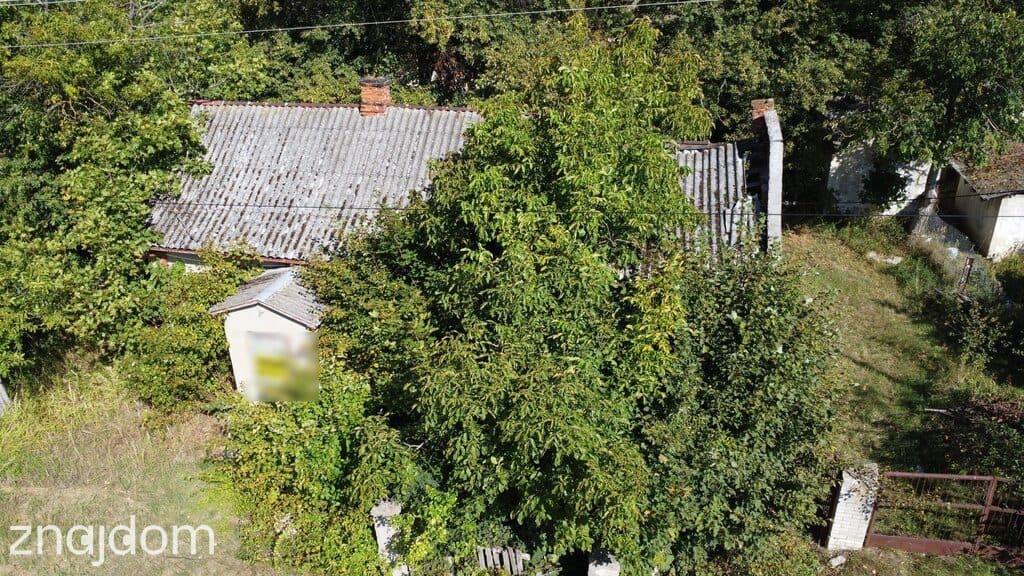 Siedlisko 2,5 ha Andrzejów gm. Przyłęk mazowieckie - zdjęcie 2