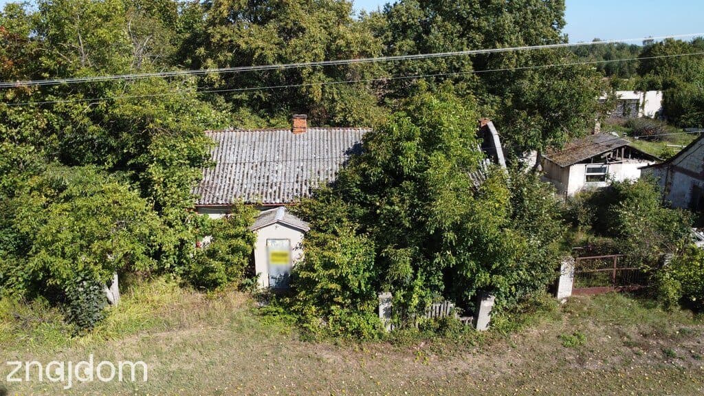 Siedlisko 2,5 ha Andrzejów gm. Przyłęk mazowieckie - zdjęcie 6