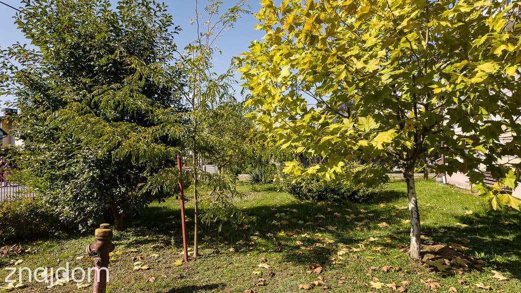 Dom 80 m² | Działka 6,5 ara | Łęg Tarnowski / 1 km od Tarnowa - zdjęcie 16