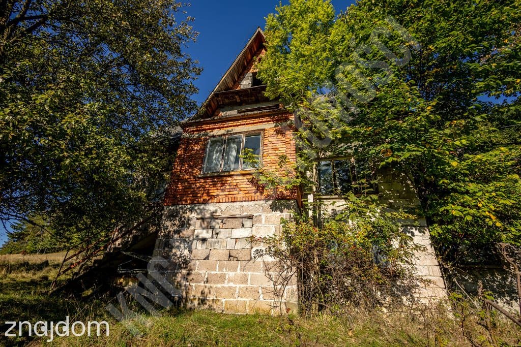 Górskie gospodarstwo 2 ha przytulone do lasu – Zawoja | 712 m n.p.m. - zdjęcie 4