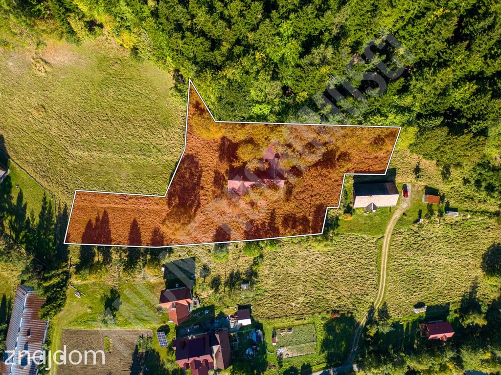 Górskie gospodarstwo 2 ha przytulone do lasu – Zawoja | 712 m n.p.m. - zdjęcie 10
