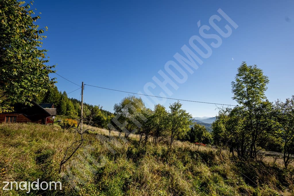 Górskie gospodarstwo 2 ha przytulone do lasu – Zawoja | 712 m n.p.m. - zdjęcie 13