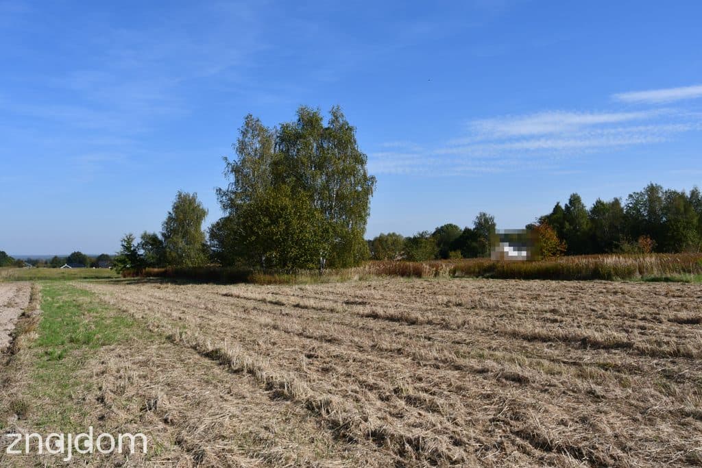 Działka rolna 43a - Strażów - zdjęcie 8