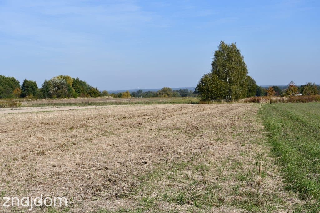 Działka rolna 43a - Strażów - zdjęcie 6