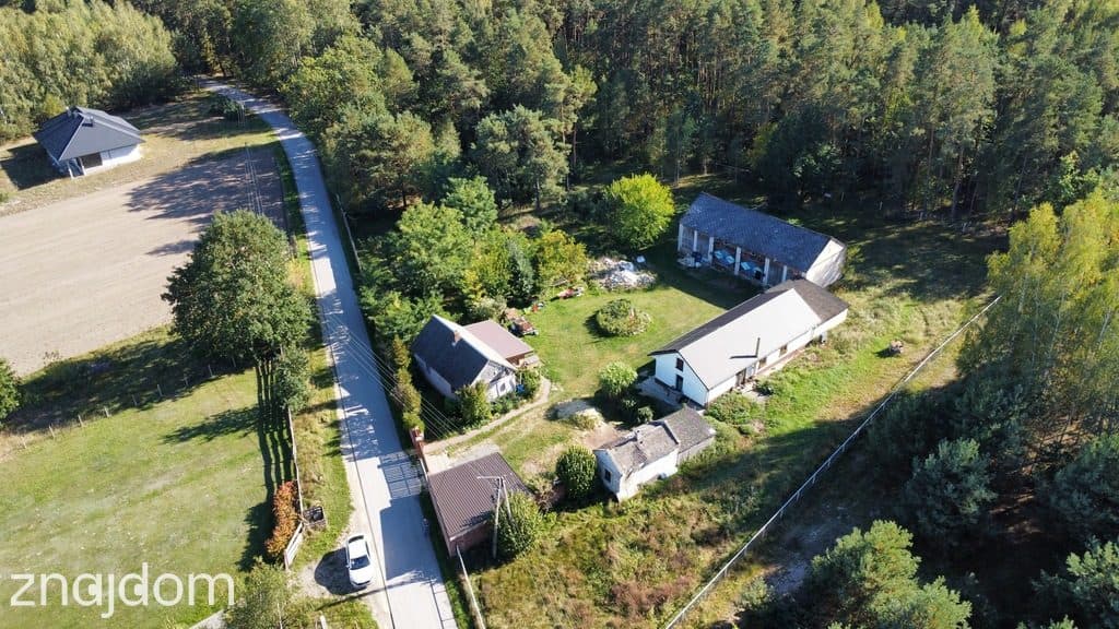Siedlisko 1,1 ha (dwa domy) przy lesie - Siekierka Nowa gm. Chotcza. - zdjęcie 2