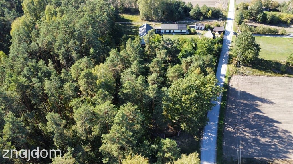 Siedlisko 1,1 ha (dwa domy) przy lesie - Siekierka Nowa gm. Chotcza. - zdjęcie 6