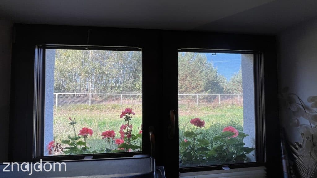 Siedlisko 1,1 ha (dwa domy) przy lesie - Siekierka Nowa gm. Chotcza. - zdjęcie 14