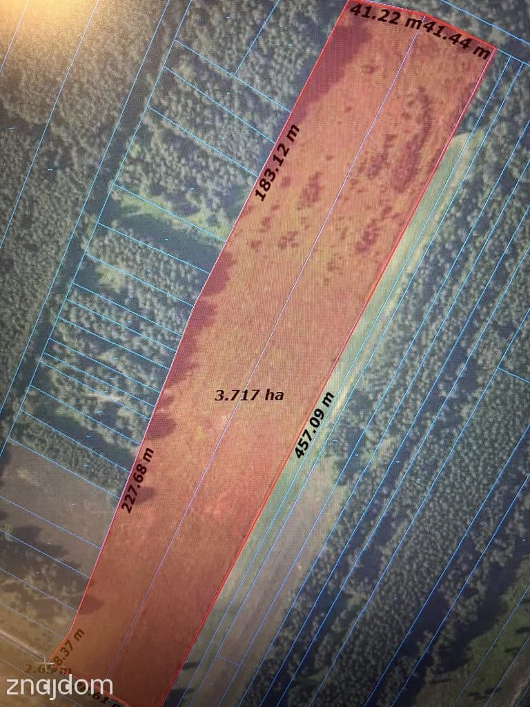 Działka rolna 3,75 ha w Kijance gm. Chotcza pow. Lipsko.