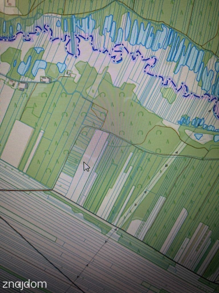Działka rolna 3,75 ha w Kijance gm. Chotcza pow. Lipsko. - zdjęcie 4