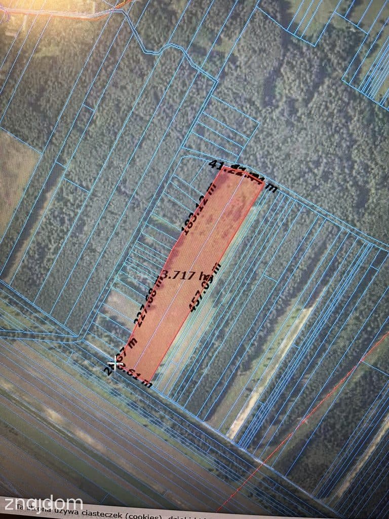 Działka rolna 3,75 ha w Kijance gm. Chotcza pow. Lipsko. - zdjęcie 5