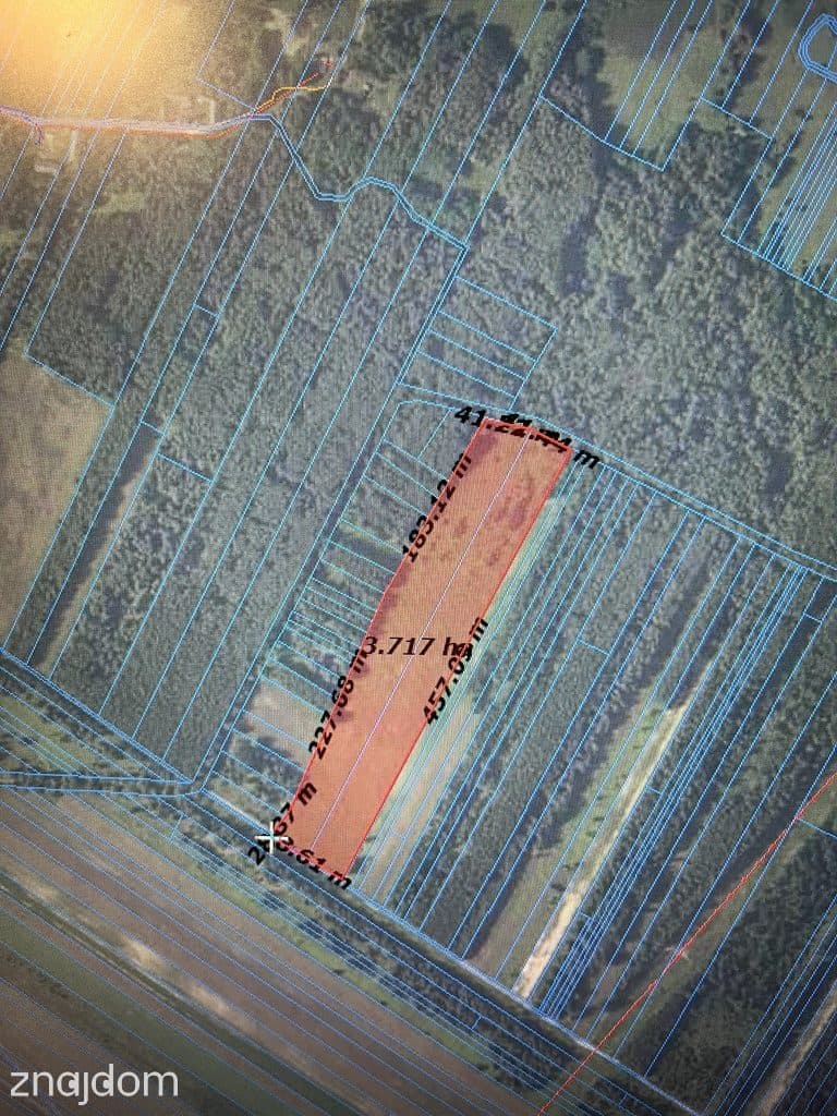 Działka rolna 3,75 ha w Kijance gm. Chotcza pow. Lipsko. - zdjęcie 6